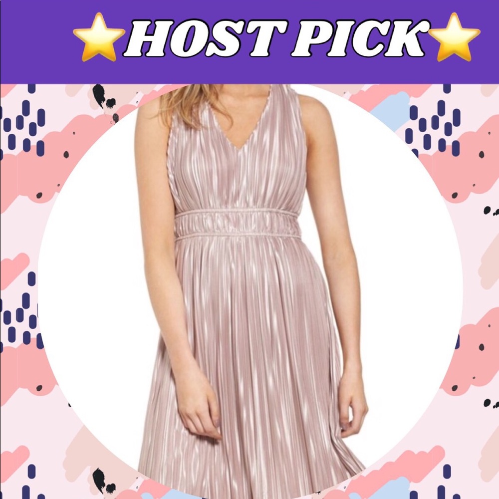 HP🏆🏆NWT 💥Blush Pink Pleated Dress